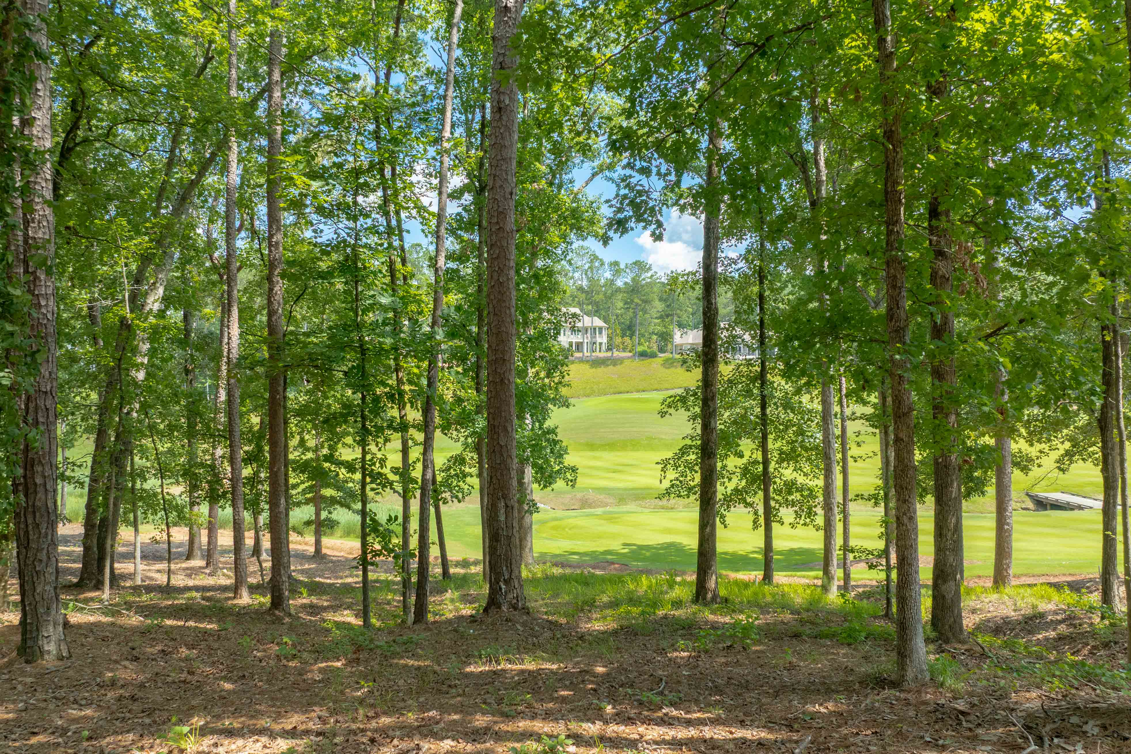1000 Creek Bluff image 6